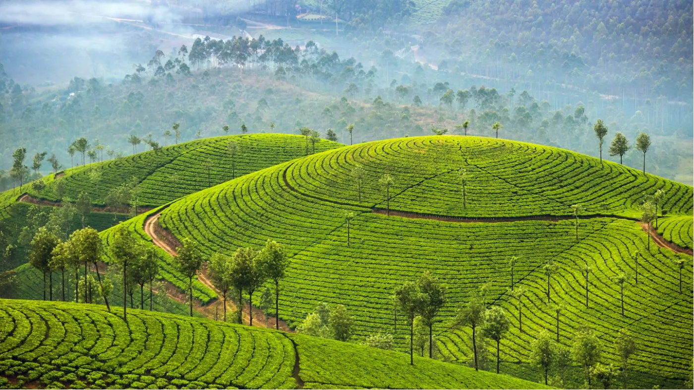 Kerala Tour – Nature, Culture & Adventure in South India